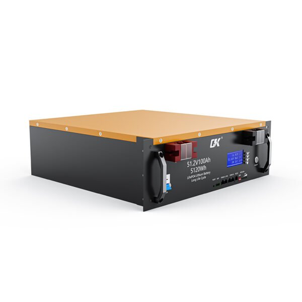 Lifepo4 Battery Module 51.2V 100Ah 5.12Kwh Rack Mounted Power Solar Energy System Home Energy